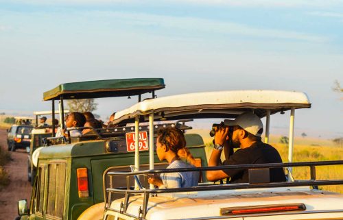 9 Days Classic Uganda Wildlife Safari-Safari Experience