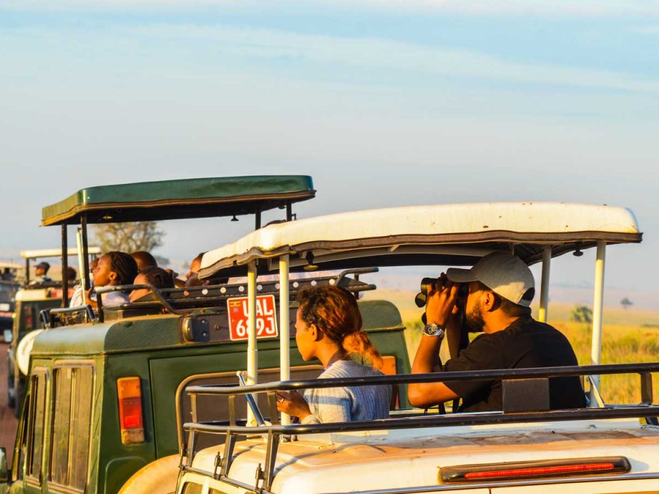 9 Days Classic Uganda Wildlife Safari-Safari Experience