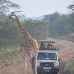 2 Days Lake Mburo Tour-Safari Experience-Uganda