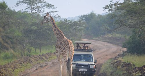 2 Days Lake Mburo Tour-Safari Experience-Uganda