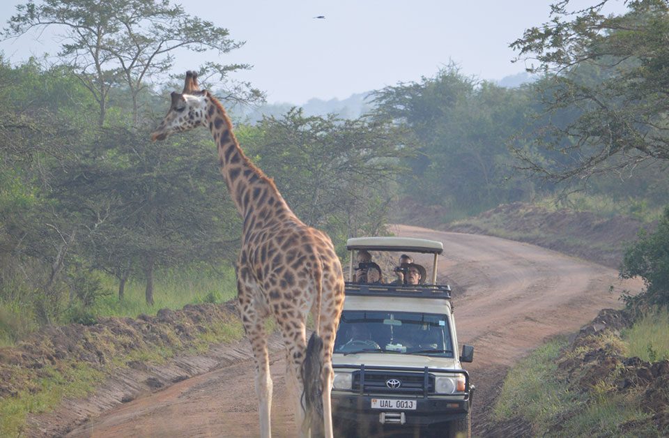 2 Days Lake Mburo Tour-Safari Experience-Uganda