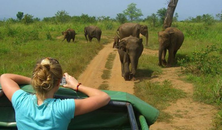 6 Days Uganda Safari-Murchison Falls National Park-Adventures