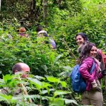 Nature Walks in Bigodi Wetland-