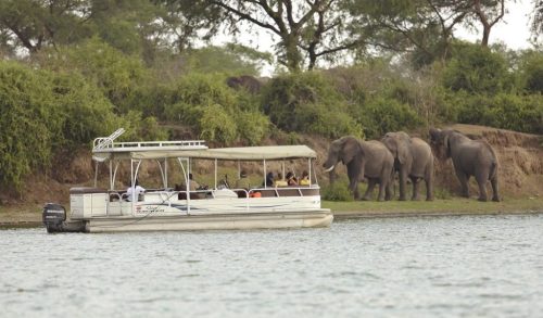  Uganda Budget Safaris 