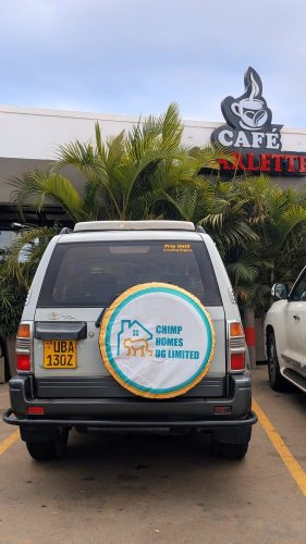 Wildlife Tours Rwanda