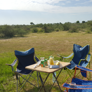 Camping Safaris