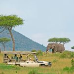 Destinations- Uganda Budget Safaris