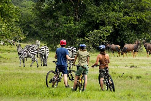 Lake Mburo-Wildlife in Lake Mburo Park