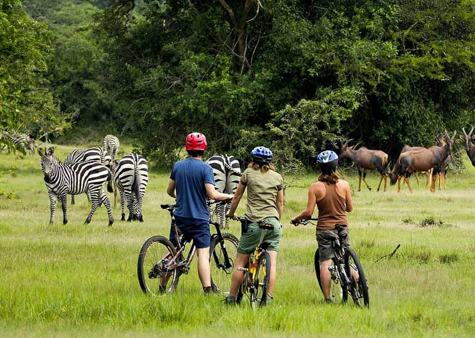 Lake Mburo-Wildlife in Lake Mburo Park