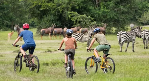 Lake Mburo- Big Five in Uganda