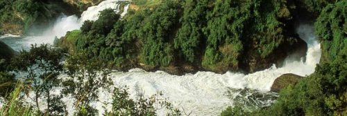  Queen Elizabeth vs Murchison Falls Safaris