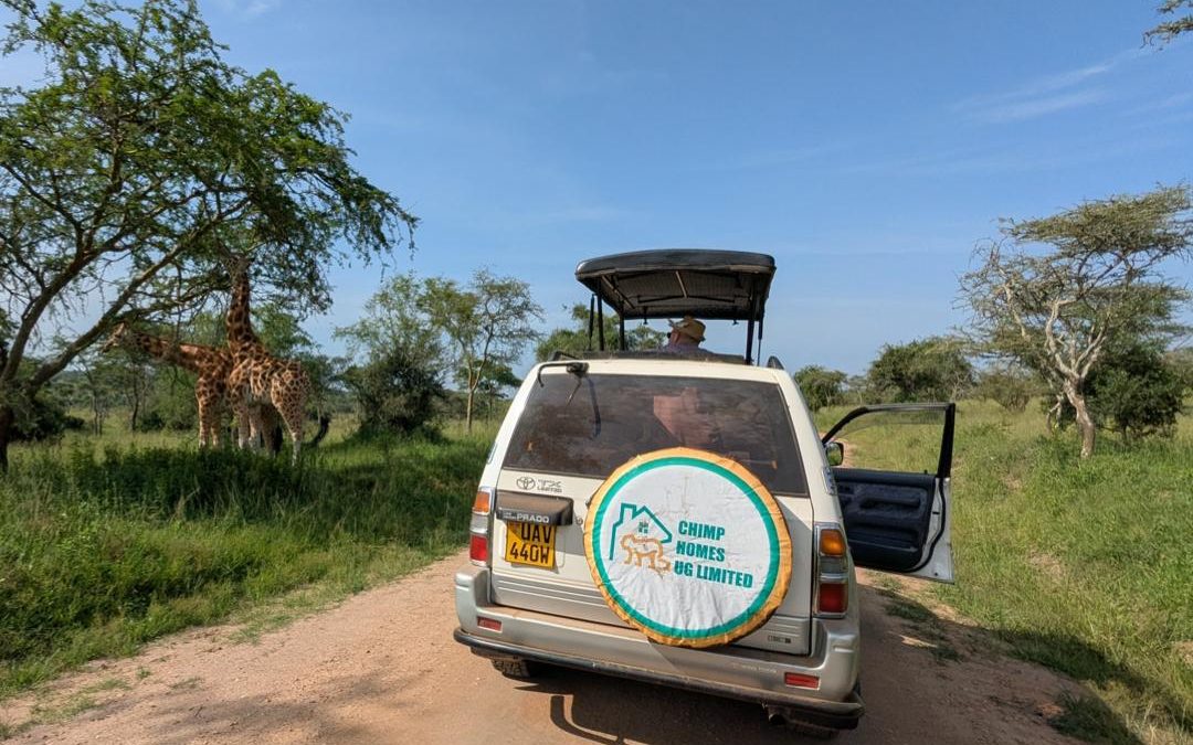 Hire a Car and Driver-Uganda Safari Company