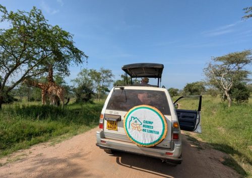 Hire a Car and Driver-Uganda Safari Company