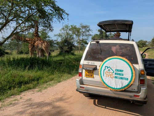 Hire a Car and Driver-Uganda Safari Company