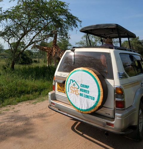 Hire a Car and Driver-Guide