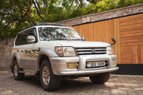 Self-Drive Uganda Safari 