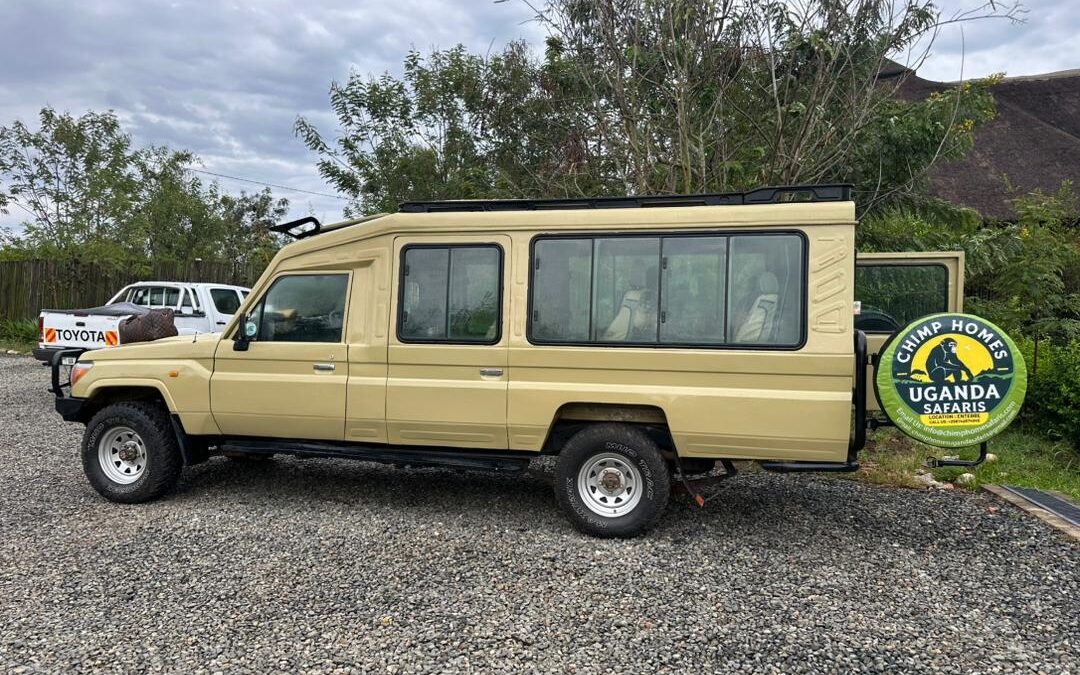 4x4 Vehicles-Time Gorilla Trekking