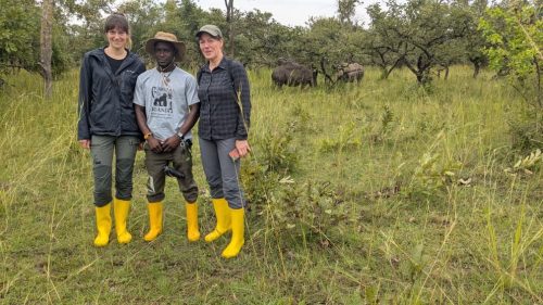 Uganda Safari