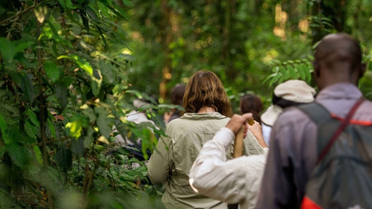 Uganda Safari-Weekend Getaways