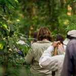Uganda Safari-Weekend Getaways