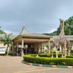 Things to Do in Entebbe