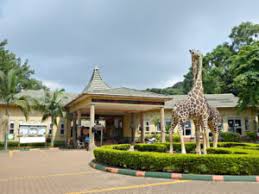 Things to Do in Entebbe