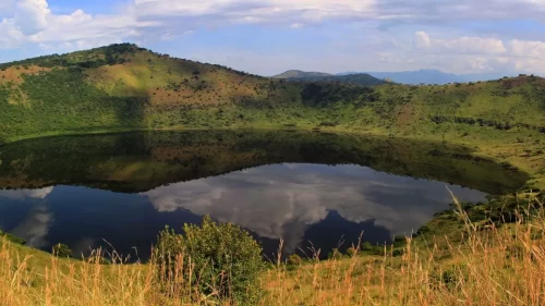 Uganda Safari