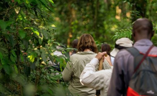 Uganda Safari