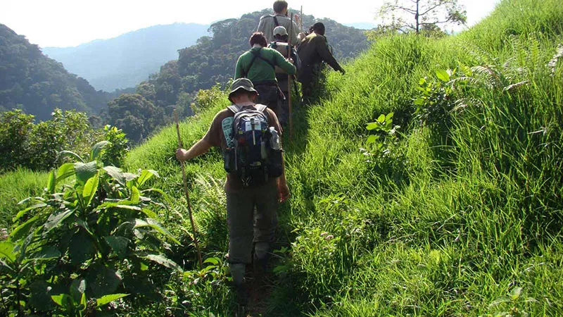 Mount Bisoke
