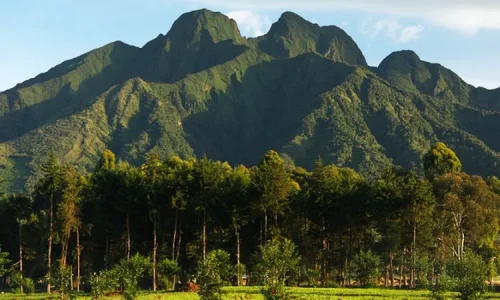 Mount Bisoke